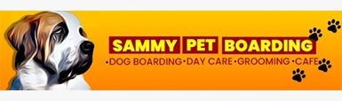 Sammy Pet Hub